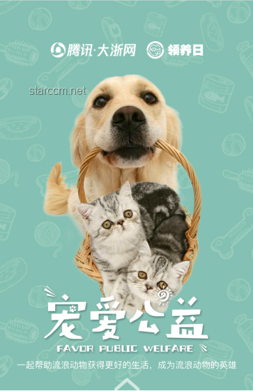 宠物行为矫正行业的蜕变与机遇